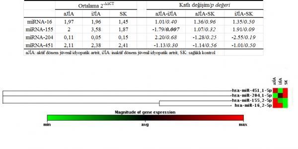 Resimler : ajia, ijia ve SK gruplarındaki hastaların demografik özelllikleri ve laboratuvar bulguları ajia ijia SK Yaş (yıl),5±3,6,5±3,6,9±3,9 Cinsiyet (E/K) 6/5 6/5 6/5 BKS (/mm3) 0.083 ±.089 8.