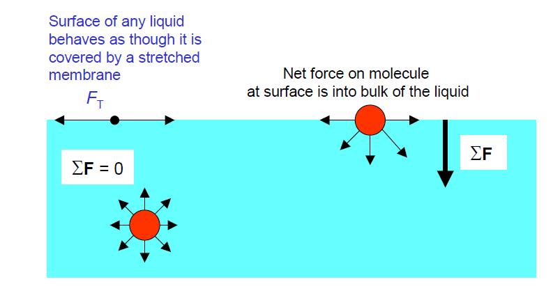 Sıvıların Yüzey Gerilimi Sıvı yüzeyindeki moleküler sıvı içine çeken net bir kuvvetin etkisi altındadır.
