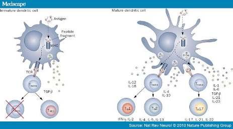 Dendritikhücreler HIV-1 DC fonksiyonunuetkiler Etkin
