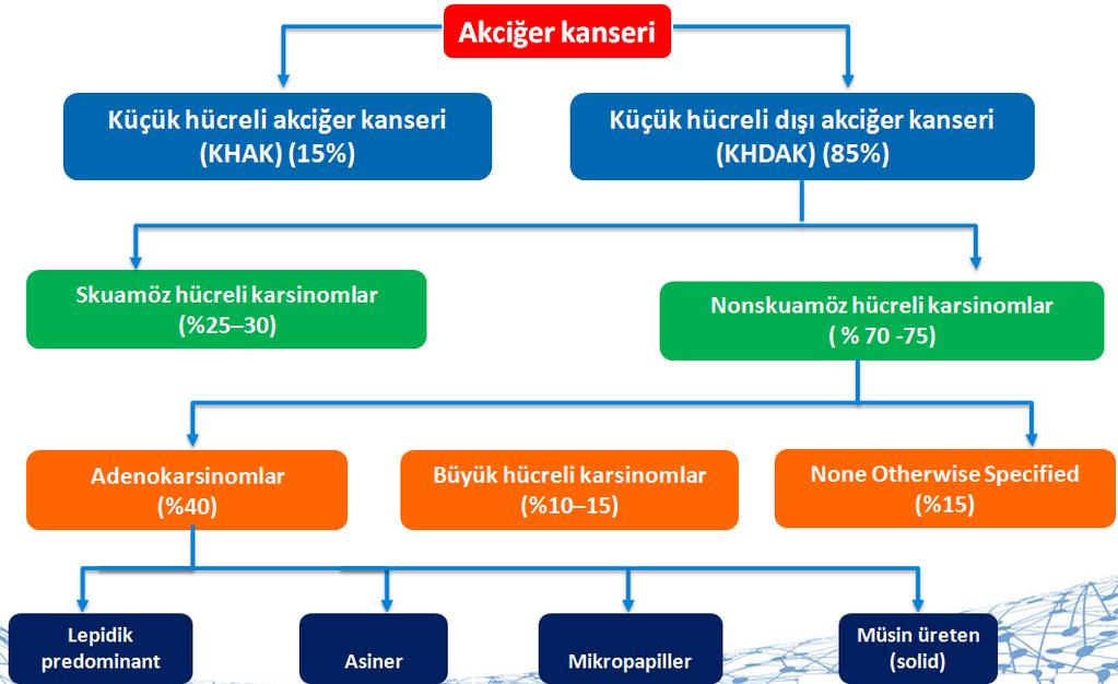 Akciğer Kanserinde