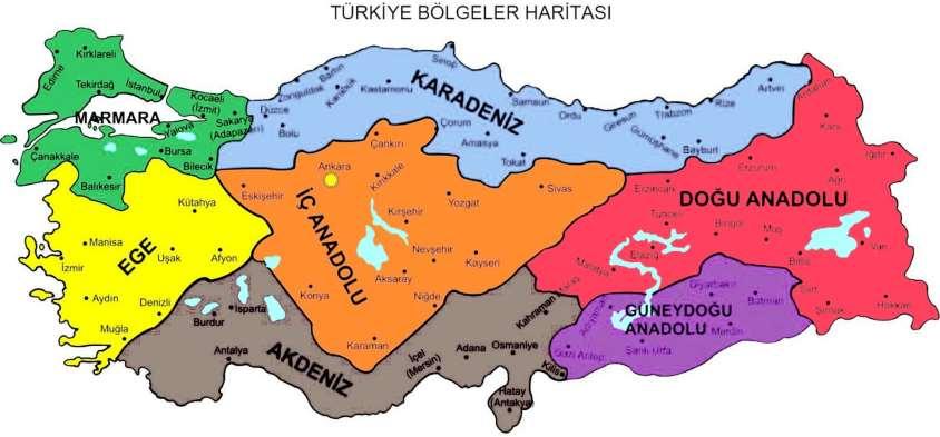 1980 yılı ile birlikte uygulamaya konan ihracata dayalı büyüme modelinde özel