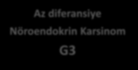 Karsinom G3 Ki67 >%20 Mitoz >20 Biyolojik