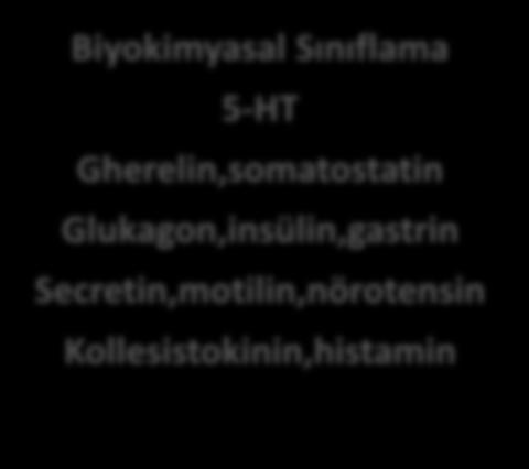 Glukagon,insülin,gastrin