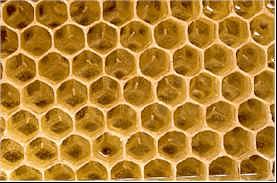 Bakıcı koloni olarak seçilen koloninin güçlü ( en az 7-8 çerçeve yavrulu ) olması gerekir. Bu koloninin ana arısı alınır ve bu koloni de beslenir.