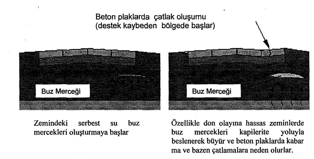 Taban Zeminleri (Temel): Şekil.