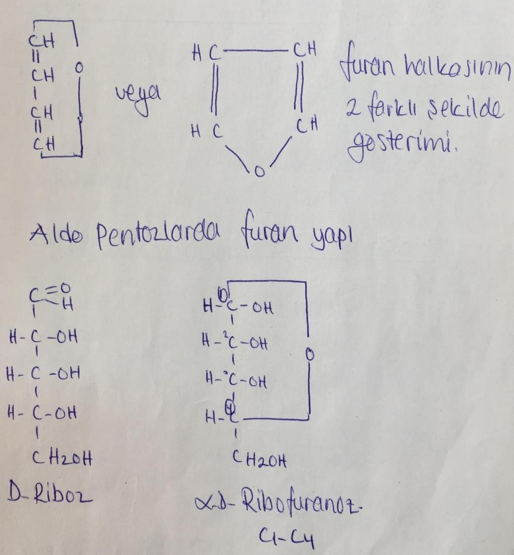 b) Furan yapı (Aldo pentoz, Aldo heksoz, Keto heksoz) Aldo pentoz ve aldo heksozlarda 1. karbon atomu ile 4.