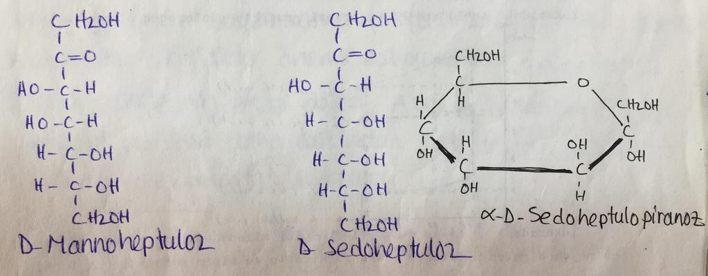 4. Heptozlar Organizmada 2 heptoz belirlenmiştir. İkisi de ketozdur. Bunlardan birincisi; D-Mannoheptuloz: Avakado ağacı mryvesinde bolca bulunur. Polarize ışığı sağa çevirir.