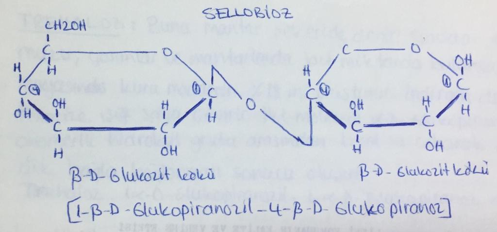 Sellobioz: Doğada serbest olarak bulunmaz. Asitlerin ya da selülaz enziminin selülozu hidrolize etmesiyle oluşur. Polarize ışığı sağa çevirir. Osazon oluşturur.
