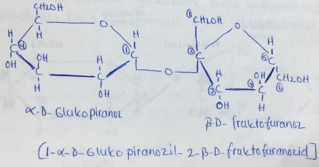 Sukroz: α-d- Glukopiranoz ile β-d-fruktofuronozun anomerik hidroksil grupları arasından bir mol su çıkarak glikozit bağla bağlanması sonucu oluşur. İndirgen değildir. Osazon oluşturmaz.