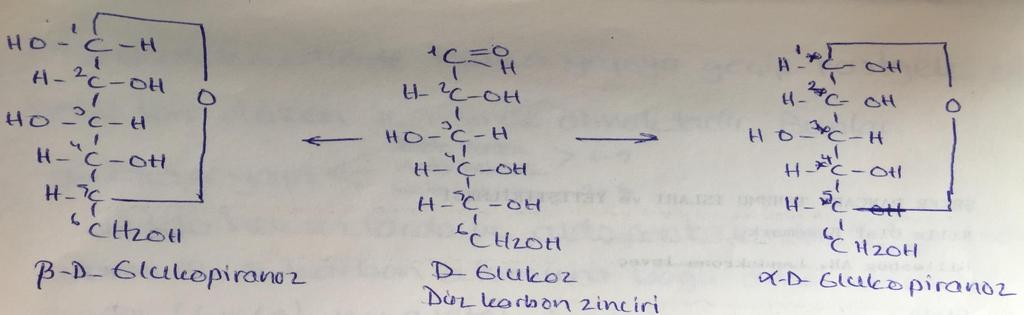 Pentoz ve heksozlarda yarı asetal yada yarı ketal tepkime sonucu aldozlarda 1. karbon atomu, ketozlarda ise 2. karbon atomu asimetrik karbon atomuna dönüşür ve şekerlerin yeni izomerleri oluşur.