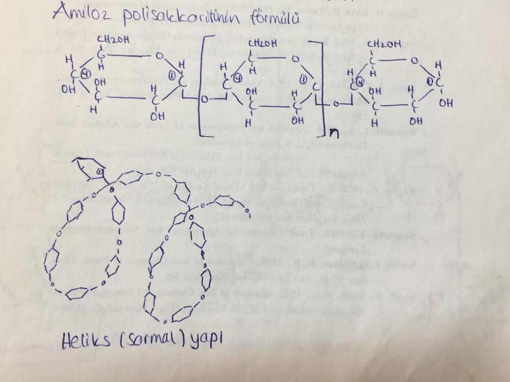 Bir nişasta tanesinde iki ayrı polisakkarit bulunur. Bunlar Amiloz ve Amilopektin dir.