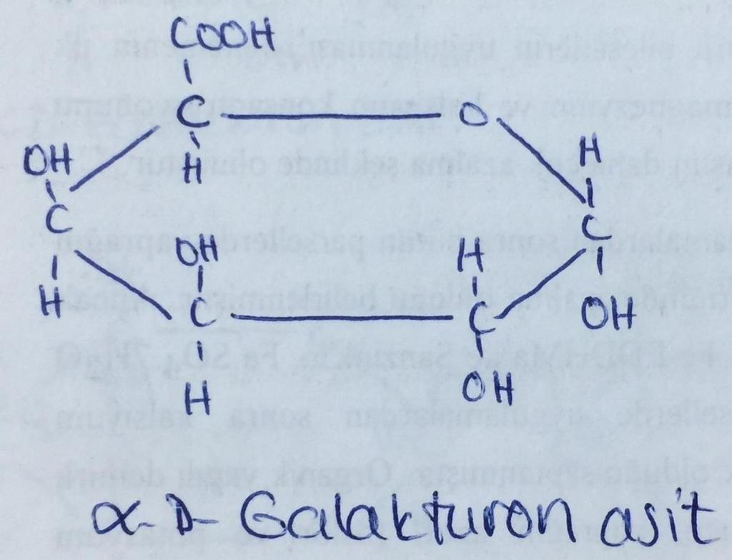 1. Pektin asitleri Yaklaşık 10-1000 α-galakturon asidinin α1 4 glikozidik bağla