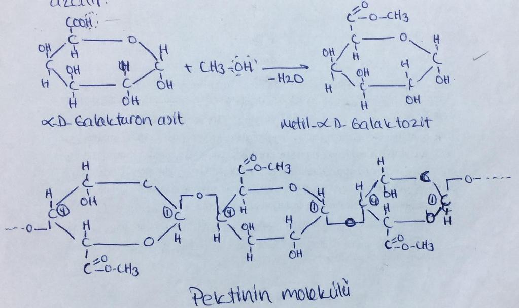 2. Pektinin Pektin asitlerinin karboksil gruplarının metil alkolle (CH3OH) ile esterleşmesi sonucu oluşurlar.