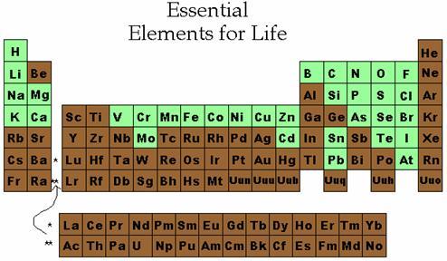 Canlı maddede çoğunlukla hafif elementler bulunur.