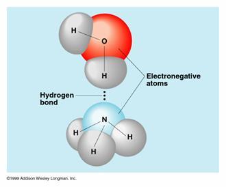 aynı moleküldeki elektronegatif atom ile yaptığı bağ.