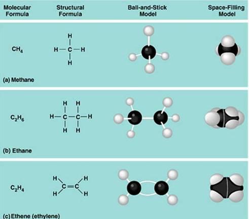 Moleküllerin üç boyutlu yapıları (molekül formülleri) değişik şekillerde gösterilebilir