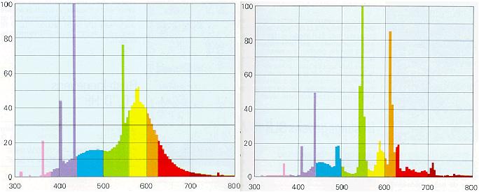 Spektrum foto-morpogenik etkiler için önemli.