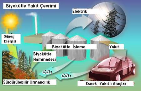 Biyokütle Çevrim Teknolojileri Biyokütle materyalleri biyokütle çevirim teknikleri ile işlenerek