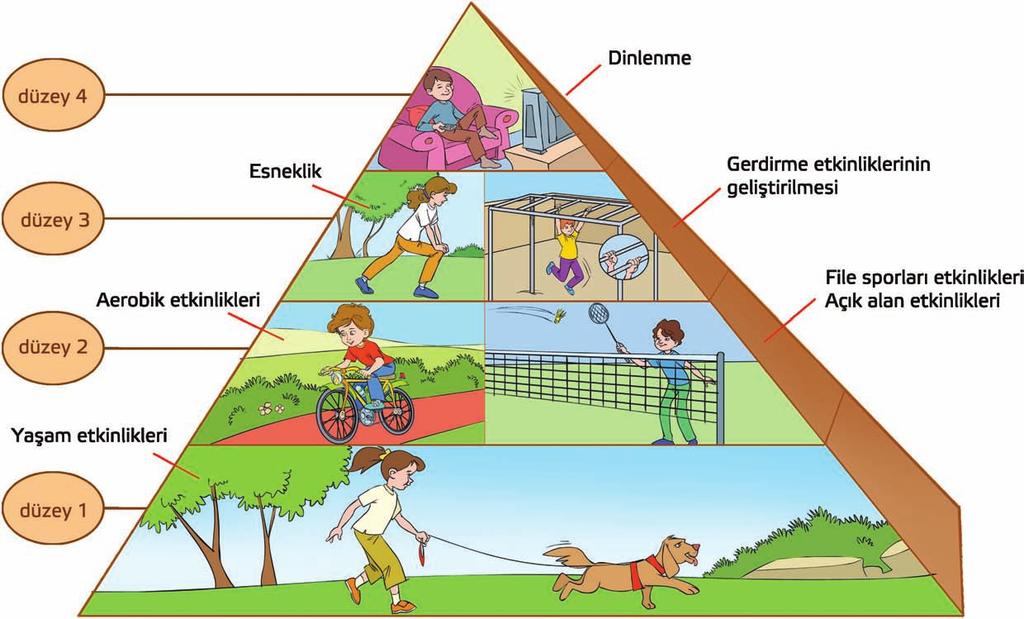 1 Fiziksel Etkinlik Piramidi Hareket Analiz Diyagramı Kaynak: Pangrazi, (2007).