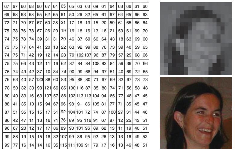 Şekil 2.7. Sayısal görüntü, gri-tonlu ve düşük çözünürlüklü bir yüzün (sağ üst) sayı dizisiyle gösterimi (sol) 2.2.3.