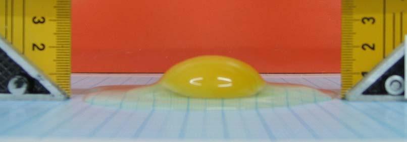 Yumurta fotoğraflarından bilgisayarda görüntü işleme yazılımı kullanılarak yumurta boyu ve eni ölçüldü. Yumurta eni ve boyuna ait ölçüm penceresi Resim 2.4, Resim 2.5 ve Resim 2.6 de verildi.