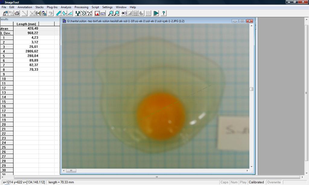 Resim 2.10. Yumurta koyu ak uzun çapı ölçümü pencere görüntüsü.