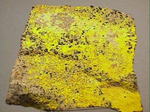 Hidrat potasyum Uranil Vanadat: Uranyum ve vanadyum gibi minerallerin öneli bir cevheri.