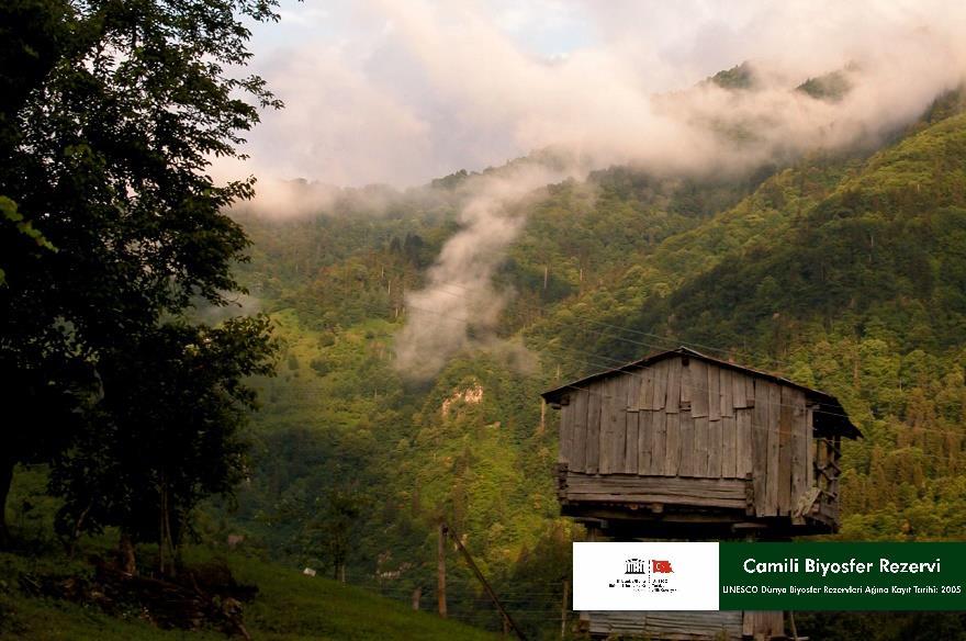 Camili Biyosfer Rezervi, Artvin