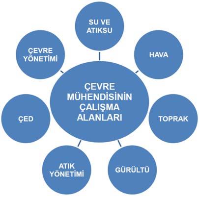 içinde zorunlu derslerden biri olan Bitirme Çalışması kapsamında yürüttükleri çalışmalarını yazılı bir tez formunda sunarlar ve sonrasında bu çalışmayı içeren bir sözlü savunma sınavına alınırlar. 2.