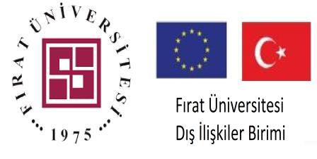 ERASMUS+ PERSONEL DERS VERME HAREKETLİLİĞİ YOL HARİTASI Erasmus+ programı ile yurtdışında ders vermek üzere seçildiğiniz andan itibaren www.dib.firat.edu.