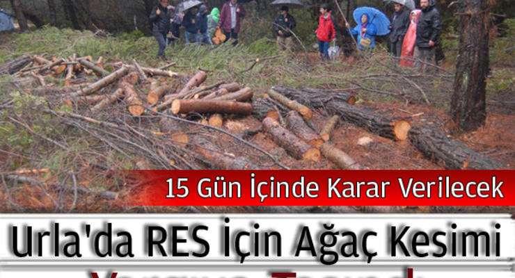 İzmir den Örnekler Urla'da RES