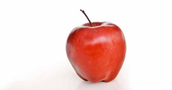 19 زراعة التفاح تتمتع مقاطعة يهيالي التي تشيع فيها زراعة تفاح يهيالي بحيازتها على عالمة تجارية في زراعة التفاح في اآلونة األخيرة.