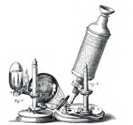 15 Işık mikroskobu altında hücreler Robert Hooke (Rabırt Huk), yaptığı basit mikroskopla şişe mantarından aldığı bir kesiti incelemiş ve bal peteği gibi gördüğü her boş odacığa hücre adını vermiştir.