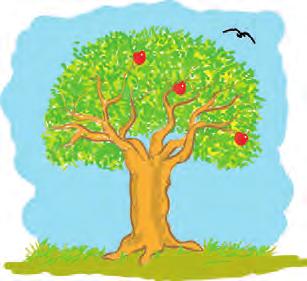 Kütle Çekim Potansiyel Enerjisi Ağaçta duran bir elma ya da dağa tırmanan bir dağcı düşünün. Tüm bunlar yer çekimi etkisiyle düşme potansiyeline sahiptir.