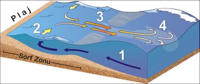 kumları ve diğer çökelleri denizin için taşır ve deniz içinde kum tümsekleri (kum barı) meydana gelir. Sonuçta plajdaki kumluk alan küçülür.