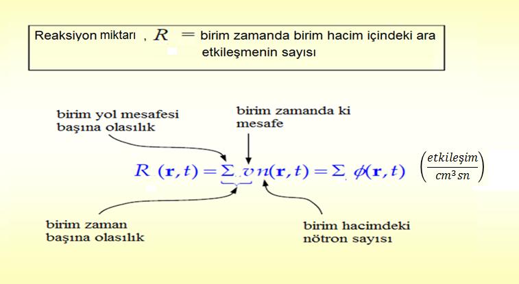 Reaksiyon