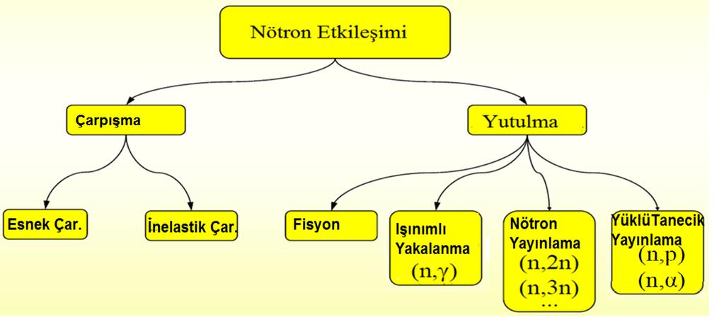 Nötron Çekirdek