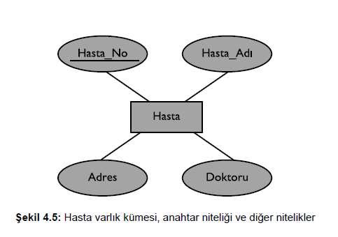 Anahtar Nitelik Varlık kümesindeki bir veya daha fazla niteliğin değeri, her bir varlık için farklı ise bu nitelik anahtar niteliktir. Örneğin hasta varlık kümesinde Hasta_No anahtar niteliktir.