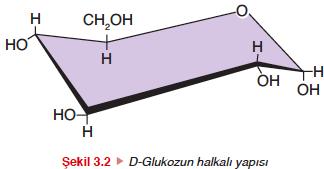 İkiden ona kadar monosakkaritin bir birine bağlanmasıyla oligosakkaritler oluşur. Monosakkatit ve oligosakkaritlere şeker de denir.