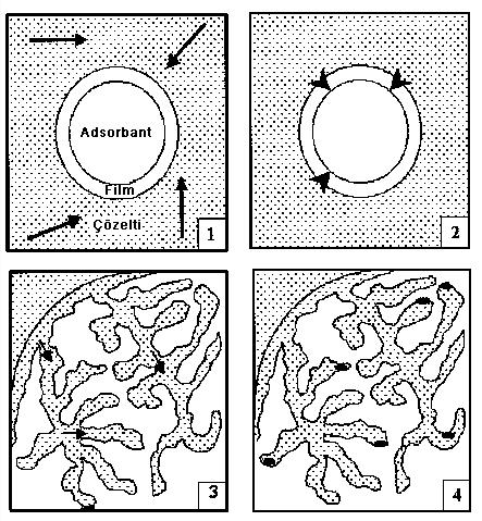 katı madde daha fazla molekül, atom ya da iyonu yüzeyinde tutabilir (Berkem vd., 1980). Adsorbsiyon mekanizması temel olarak dört adımda gerçekleşir. Bu adımlar; 1.