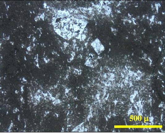 HACETTEPE ÜNİVERSİTESİ YERBİLİMLERİ UYGULAMA VE ARAŞTIRMA MERKEZİ İNCEKESİT ve PARLATMA LABORATUVARI Hidrotermal alterasyon mineralleri, alttan aydınlatmalı mikroskopta tek nikolde incelendiğinde