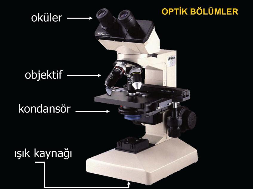 Mikrovida Şaryo Taban OPTİK