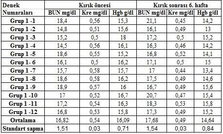 Normal aralık gösterilmesi amacı ile Grup I sıçanlardan (KBH olmayan) da kan alındı. Kemik iyileşmesi parametreleri için sıçanların 6. ve 12.