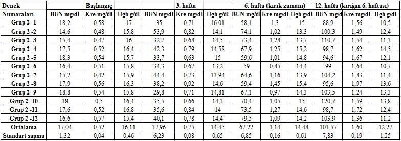 Grup II (KBH), Grup III (KBH + TZP), Grup IV (KBH + TZP +SVF) ün böbrek parametreleri açısından kan BUN, kreatinin seviyelerindeki yükselme