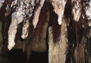 Ancak buralarda yer alan mağaralar bölgenin litostratigrafik özelliklerinden dolayı, fazla uzun ve derin değildir (4 ve 6).