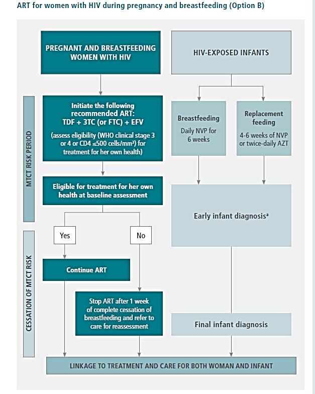 Option B