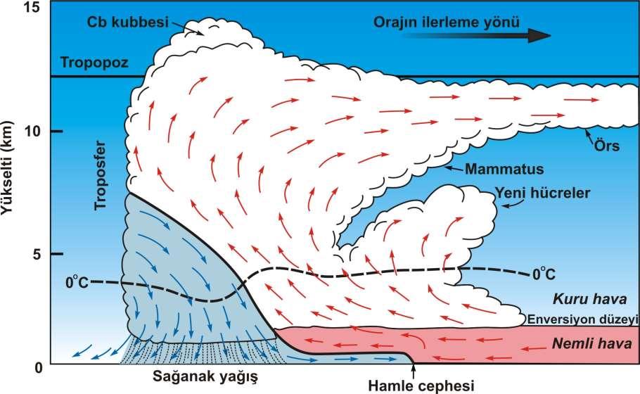 Kuvvetli dikine rüzgar şirinin egemen olduğu koşullarda