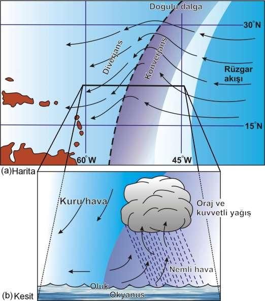 Kuzey Atlantik te Karayipler Denizi ve Meksika Körfezine doğru hareket eden bir doğulu dalgadaki