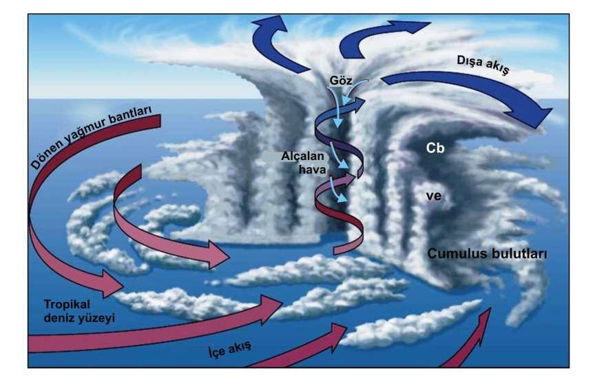 Tipik bir kasırganın oluşumunun ve içerisindeki hava