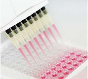 İmmun tanısal testler Dışkıda antijen arama testlerinde